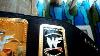 WWF/WWE BLUE WINGED EAGLE CHAMPIONSHIP TITLE BELT 4MM ADULT CASTED PLATES MINT.